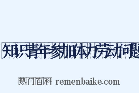知识青年参加体力劳动问题是什么意思的图片
